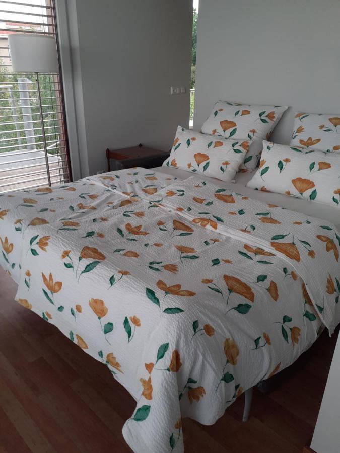 Lagrette Ferienwohnung Am Hainer See Neukieritzsch Kültér fotó